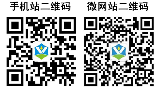 西安碳氫油